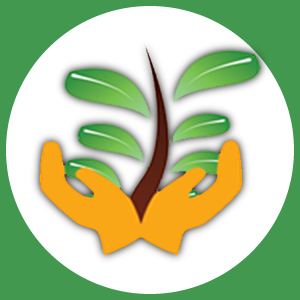 Logo MAV - Fundo Verde